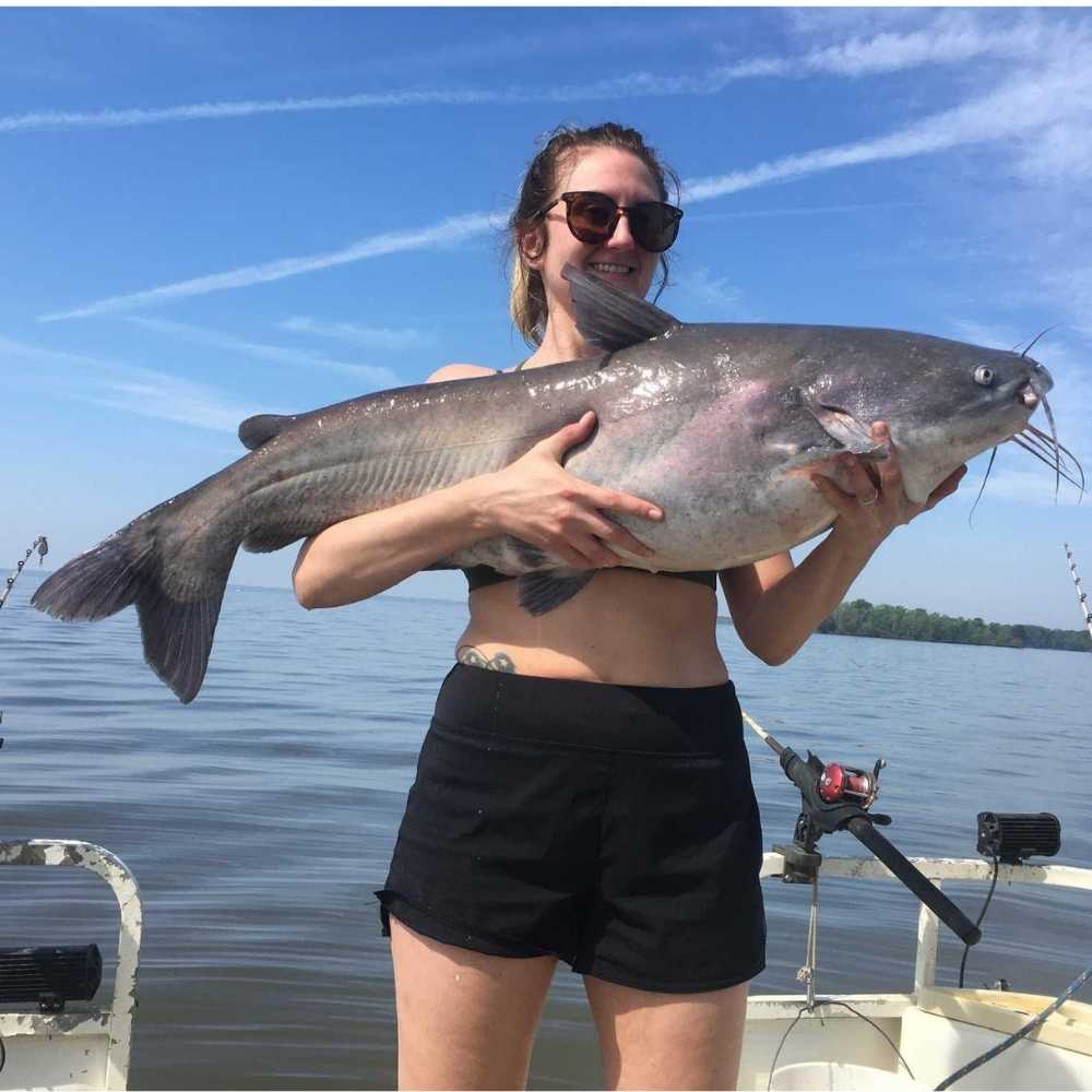 AHQ INSIDER Santee Cooper (SC) 2026 Week 28 Fishing Report - Updated July 8