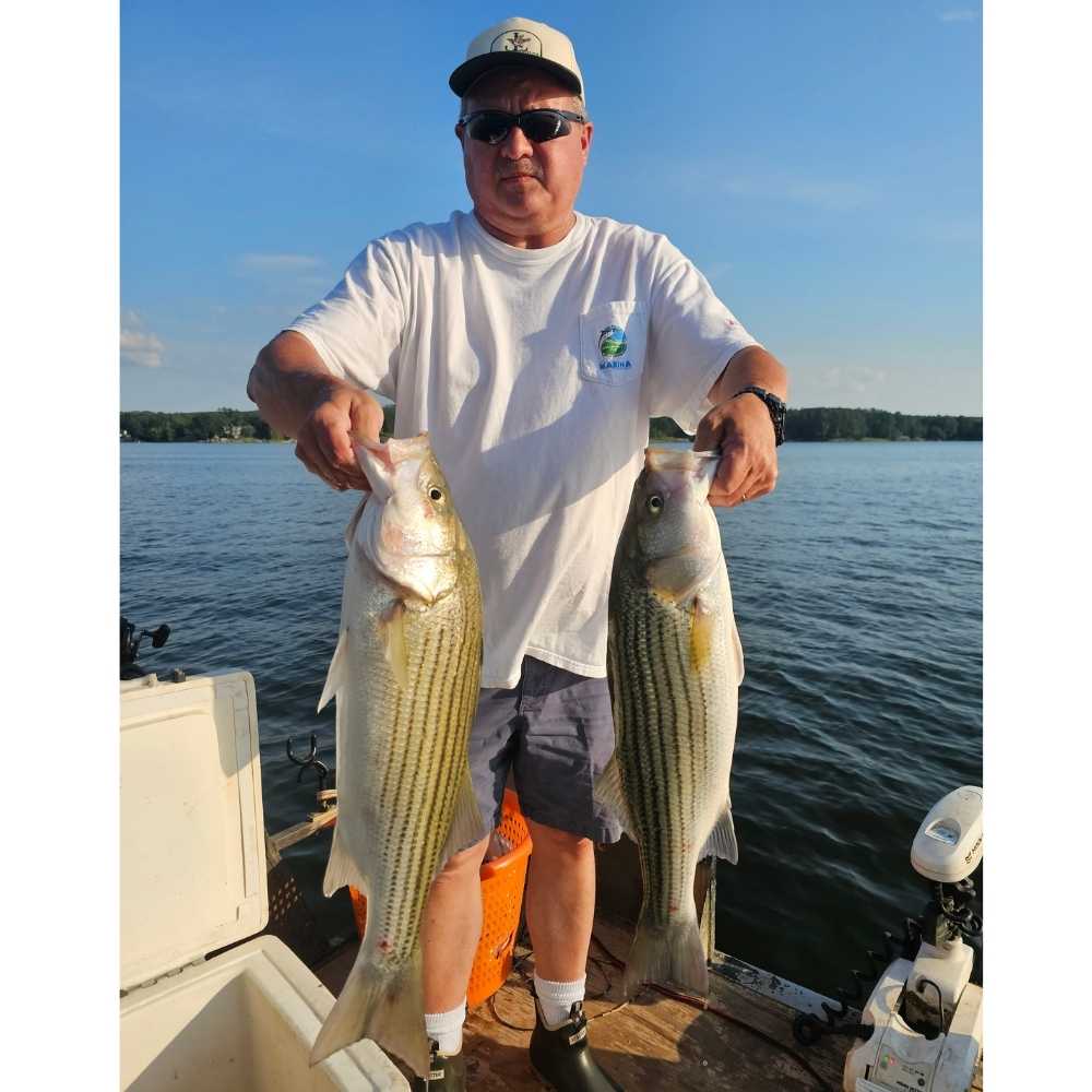 AHQ INSIDER Lake Wateree (SC) 2026 Week 30 Fishing Report - Updated July 21