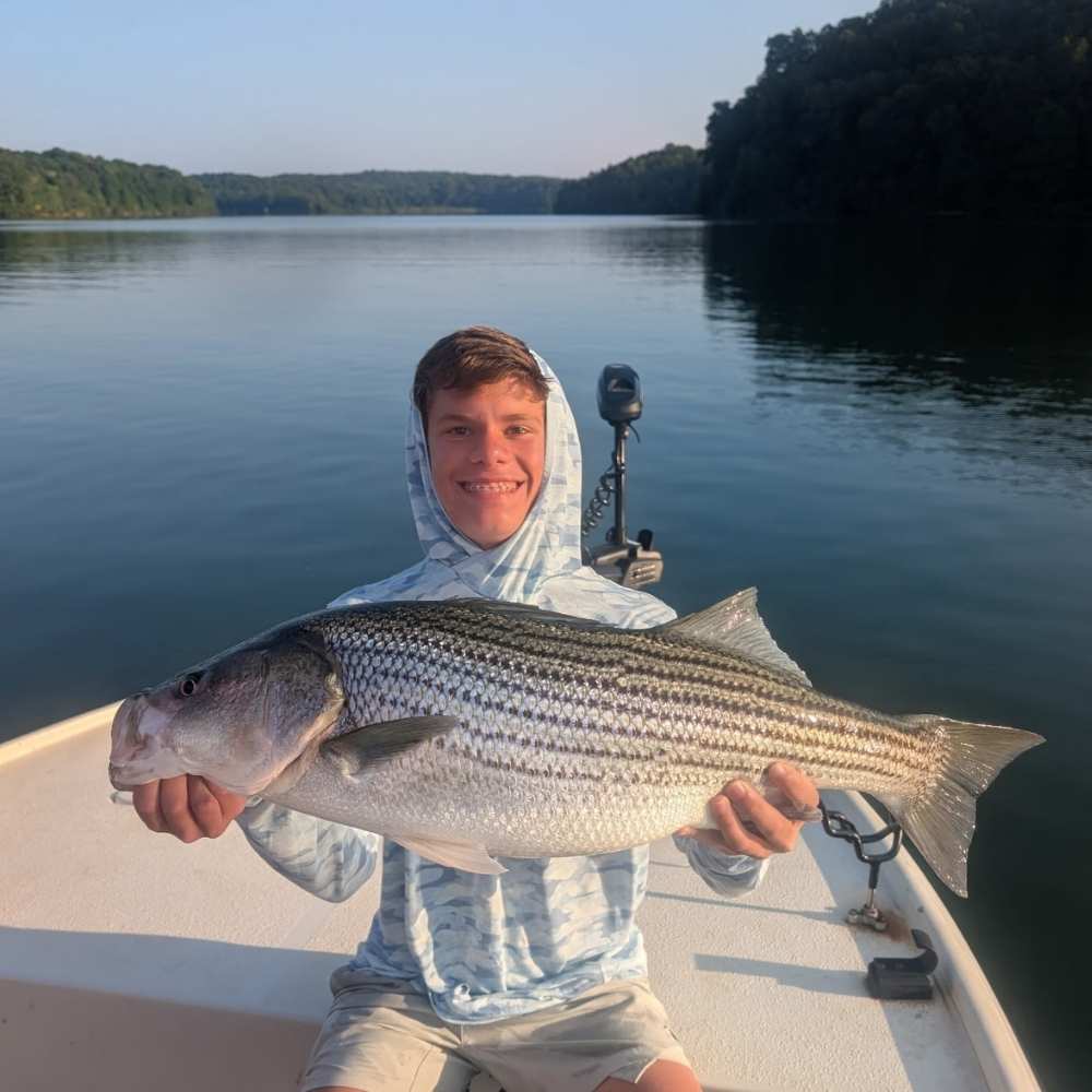 AHQ INSIDER Lake Russell (GA/SC) 2026 Week 30 Fishing Report - Updated July 22