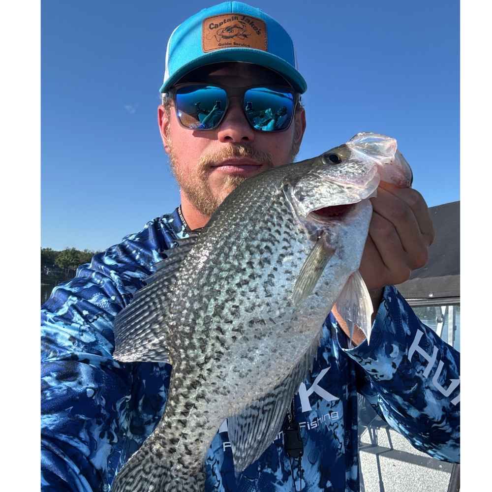 AHQ INSIDER Lake Wylie (NC/SC) 2026 Week 31 Fishing Report - Updated July 31