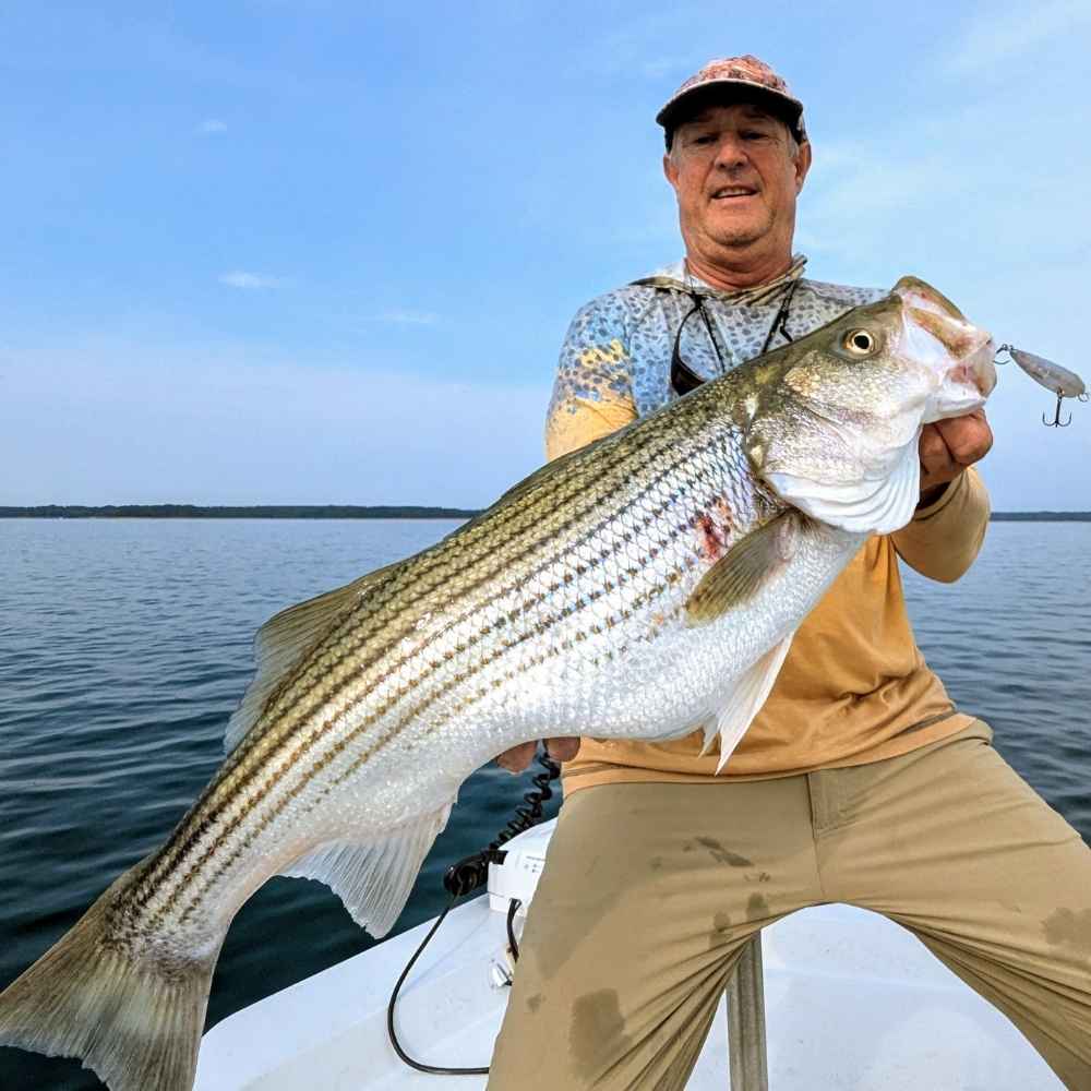 AHQ INSIDER Lake Hartwell (GA/SC) 2026 Week 31 Fishing Report – Updated July 31