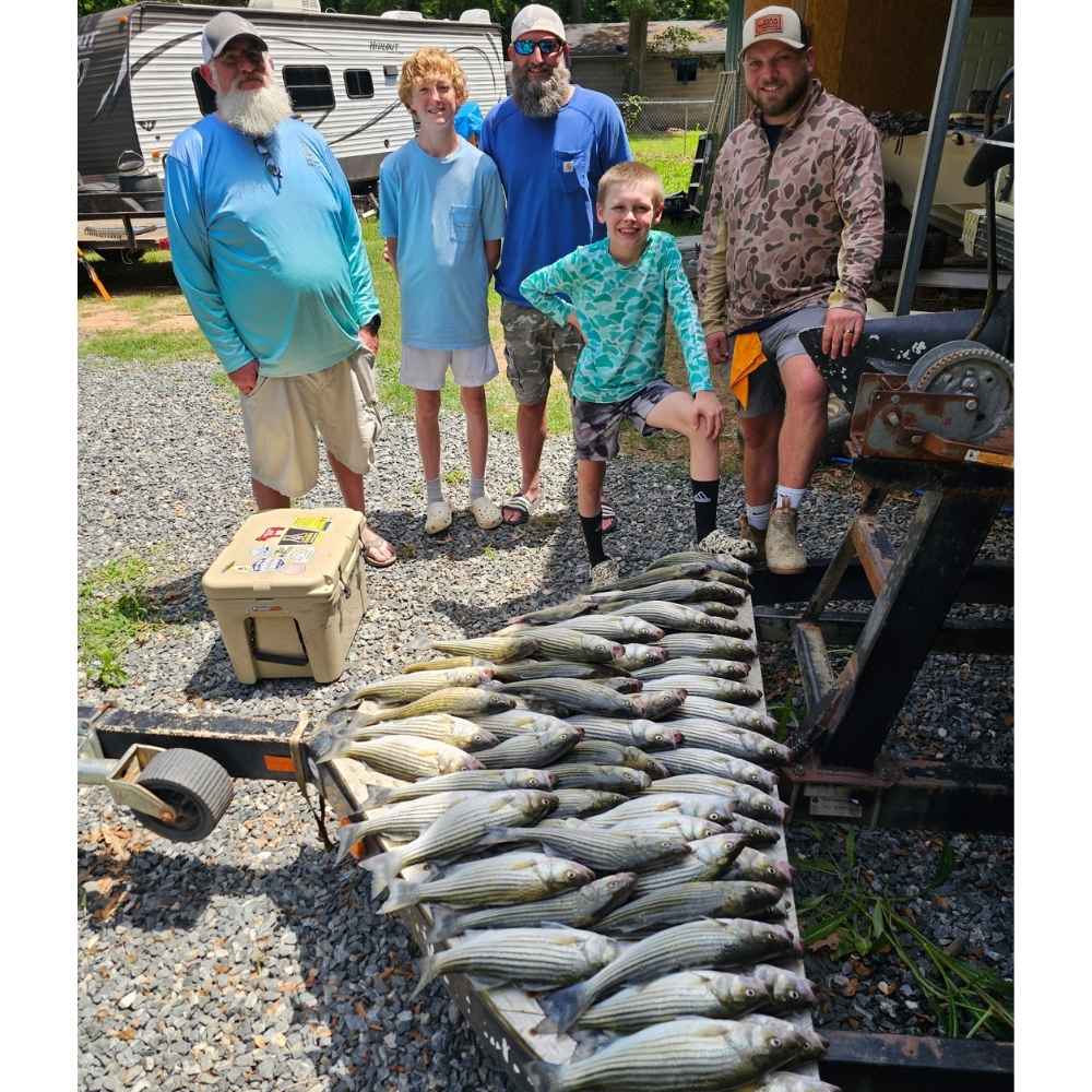 AHQ INSIDER Lake Wateree (SC) 2026 Week 32 Fishing Report - Updated August 5.