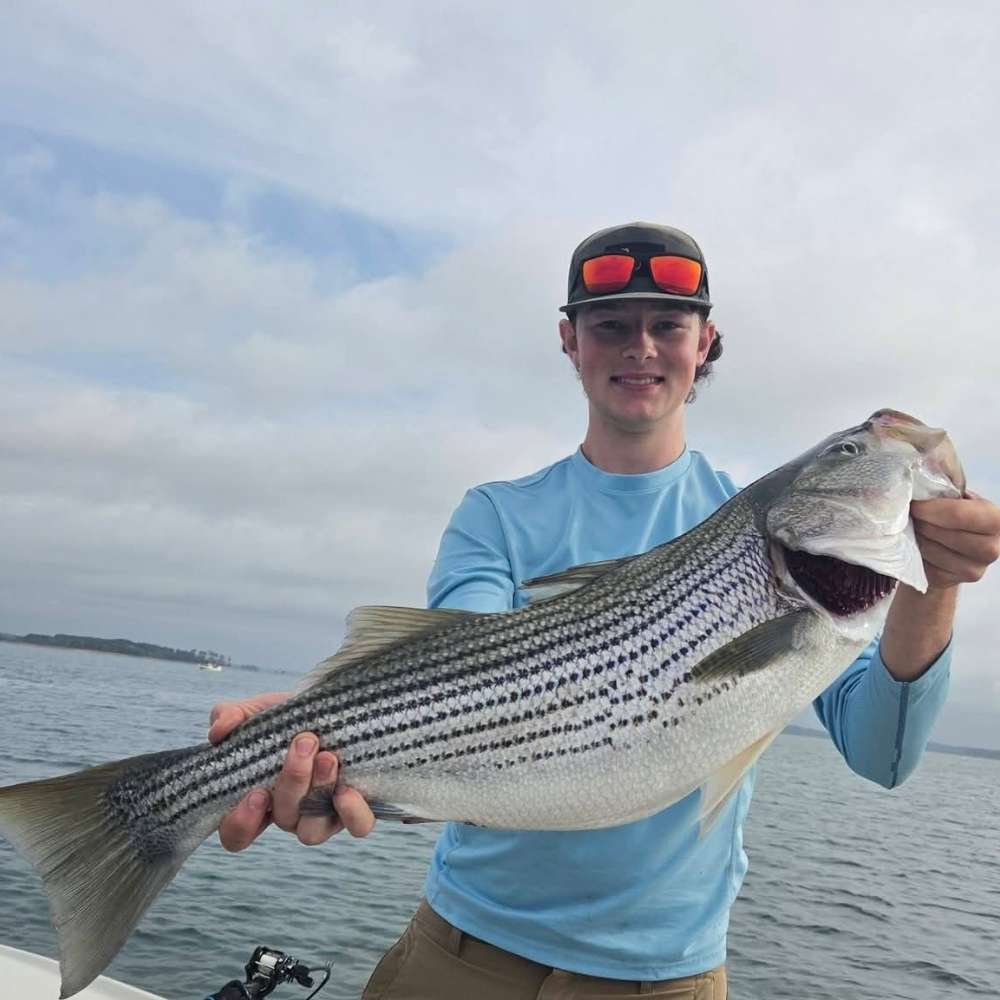 AHQ INSIDER Lake Russell (GA/SC) 2026 Week 32 Fishing Report - Updated August 4