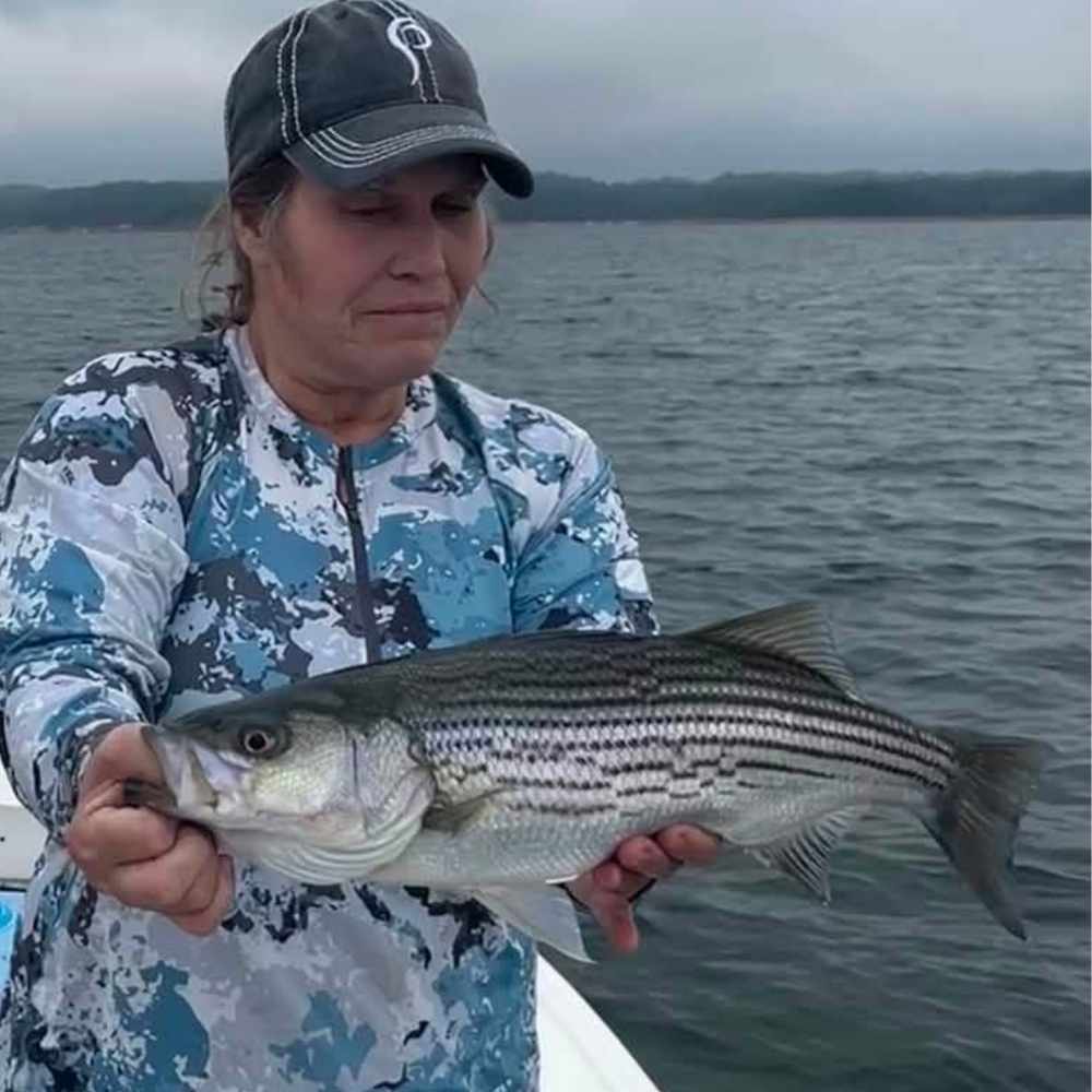 AHQ INSIDER Lake Hartwell (GA/SC) 2026 Week 33 Fishing Report – Updated August 11