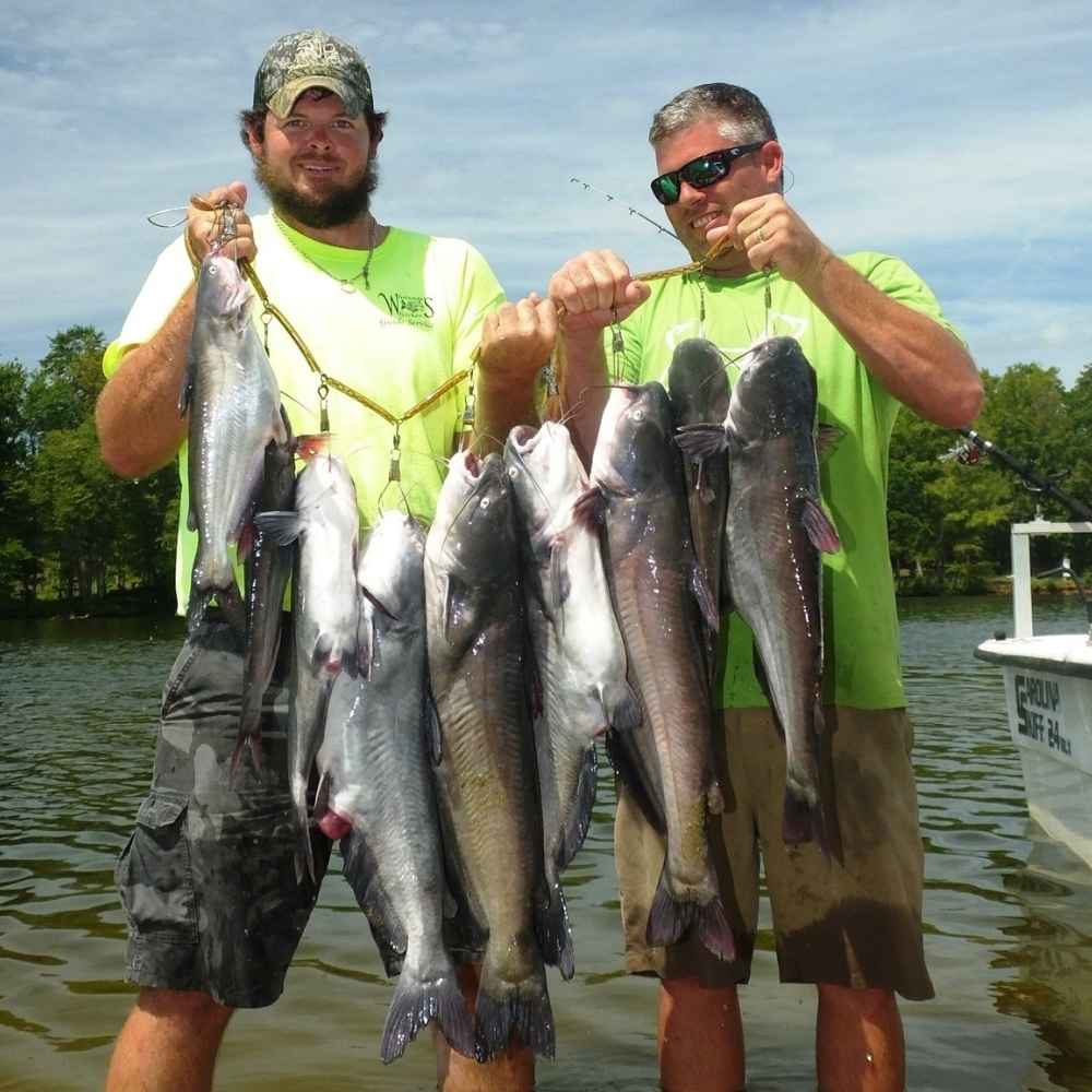 AHQ INSIDER Lake Wateree (SC) 2026 Week 33 Fishing Report - Updated August 12