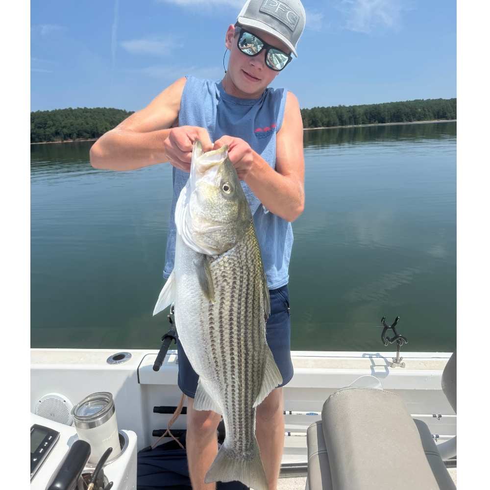 AHQ INSIDER Lake Russell (GA/SC) 2026 Week 34 Fishing Report - Updated August 19