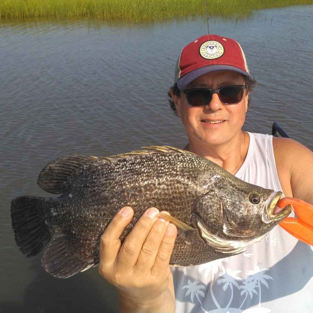 AHQ INSIDER Georgetown (SC) 2026 Week 34 Fishing Report - Updated August 19