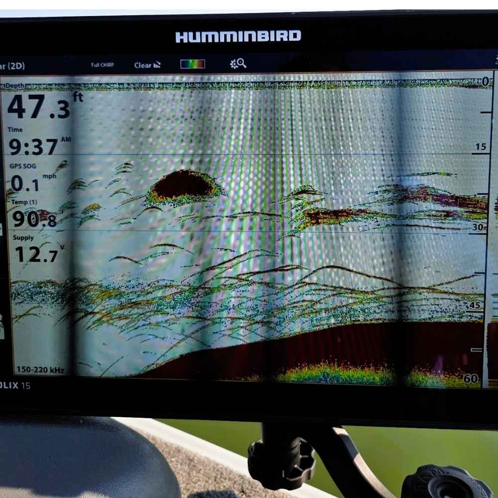 AHQ INSIDER Lake Monticello (SC) 2026 Week 34 Fishing Report - Updated August 19