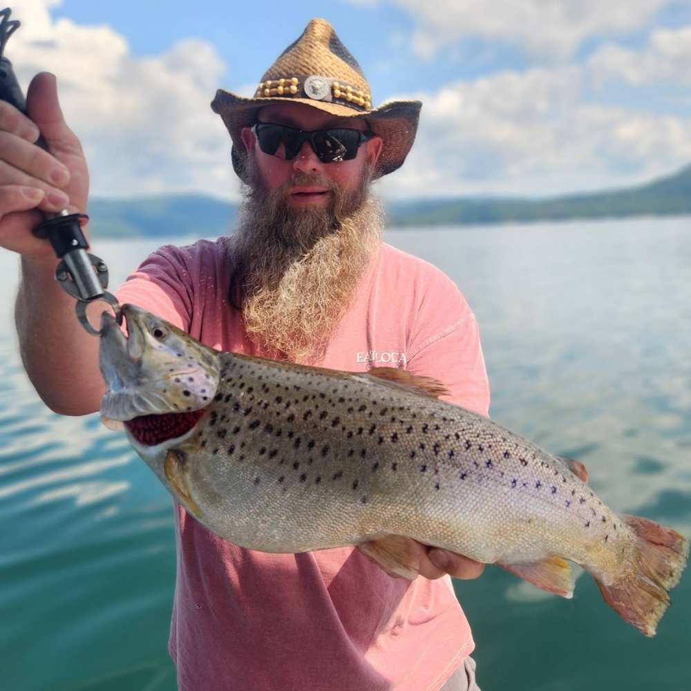 HQ INSIDER Lake Jocassee (SC) 2026 Week 34 Fishing Report - Updated August 20