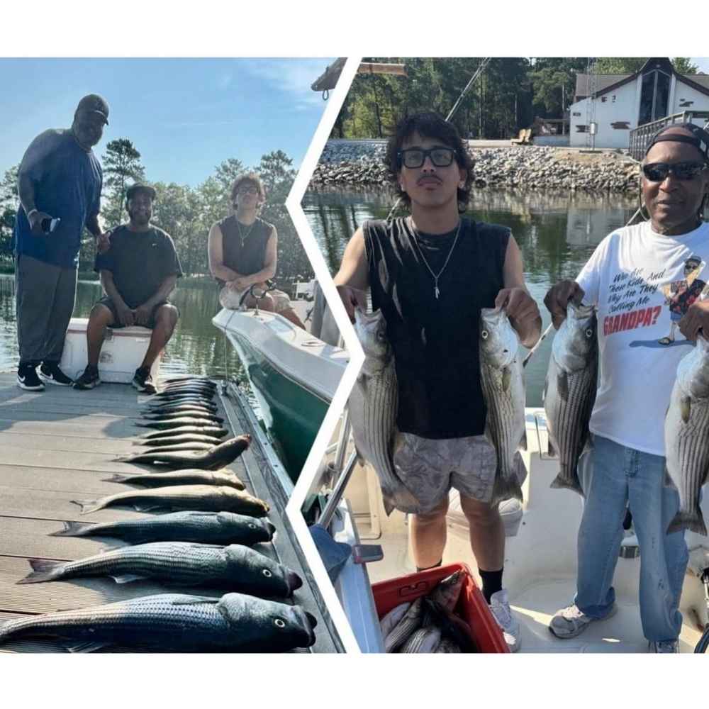 AHQ INSIDER Lake Murray (SC) 2026 Week 36 Fishing Report - Updated September 2