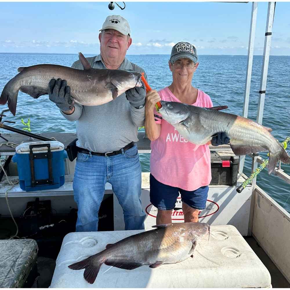 AHQ INSIDER Santee Cooper (SC) 2026 Week 37 Fishing Report - Updated September 8