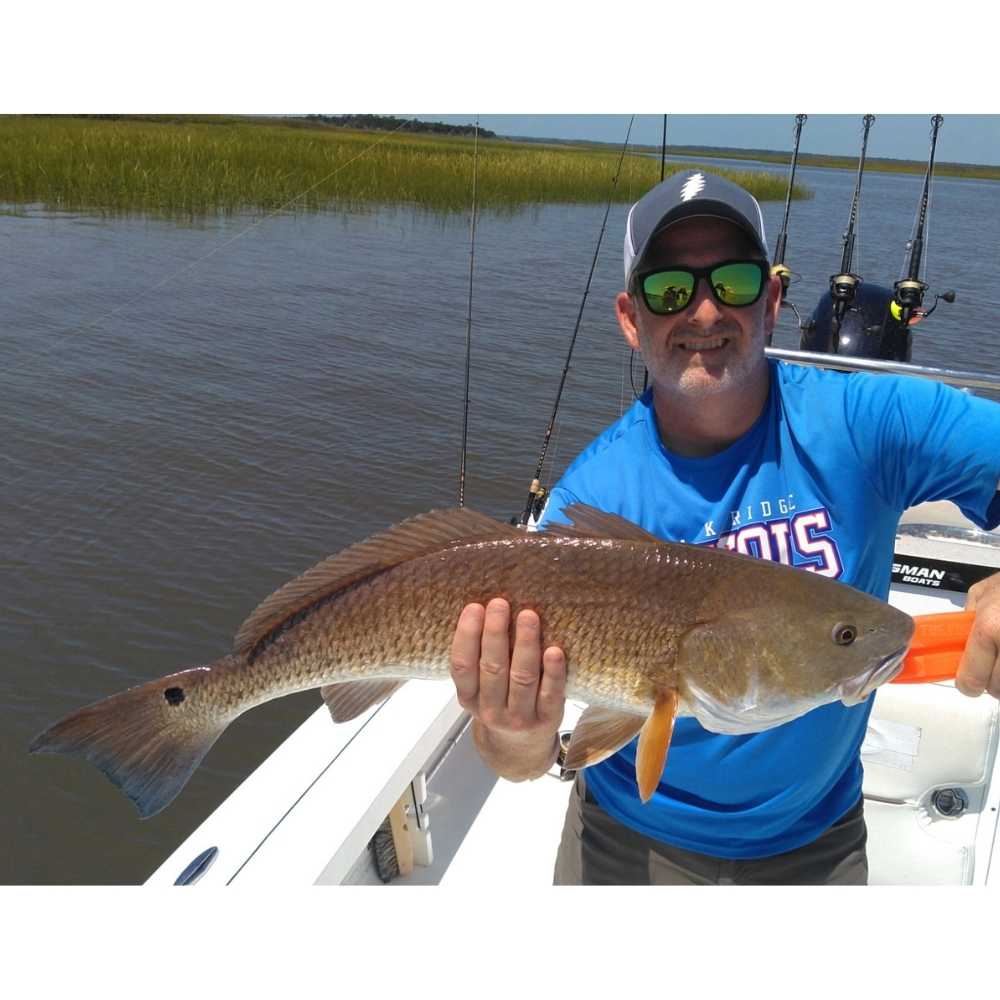 AHQ INSIDER Georgetown (SC) 2026 Week 36 Fishing Report - Updated September 8