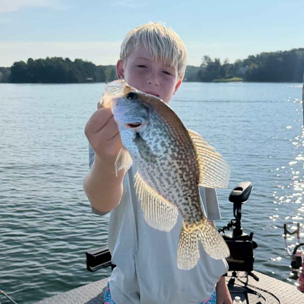 AHQ INSIDER Lake Wylie (NC/SC) 2026 Week 37 Fishing Report - Updated September 9