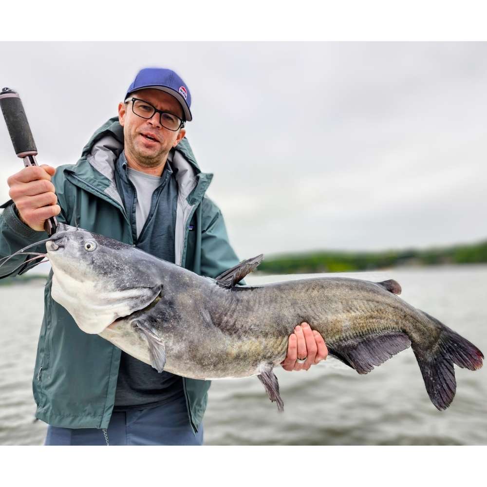 AHQ INSIDER Lake Wylie (NC/SC) 2026 Week 39 Fishing Report - Updated September 25