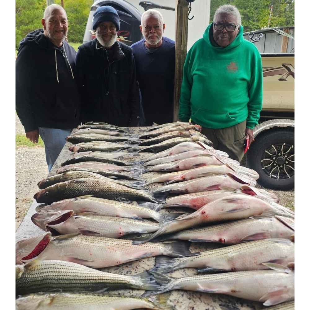 AHQ INSIDER Clarks Hill (GA/SC) 2026 Week 40 Fishing Report - Updated October 1