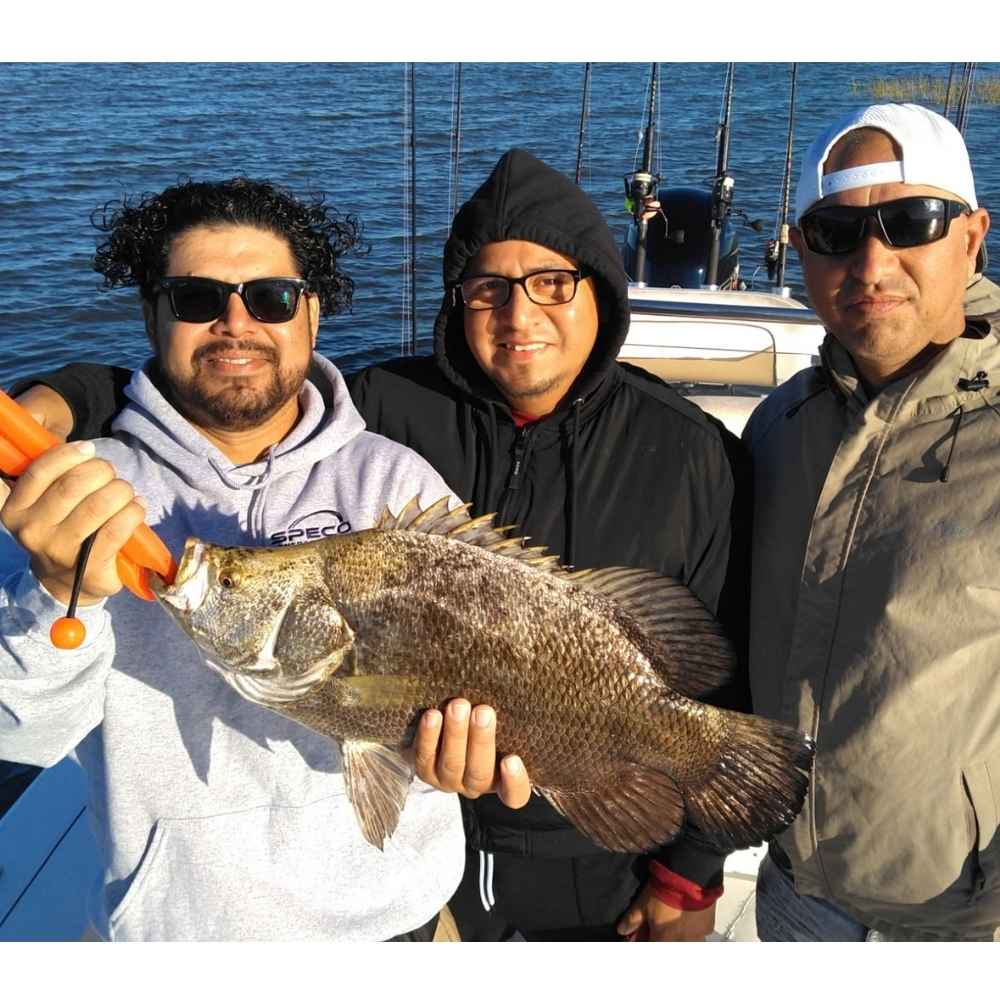 AHQ INSIDER Georgetown (SC) 2026 Week 40 Fishing Report - Updated October 1