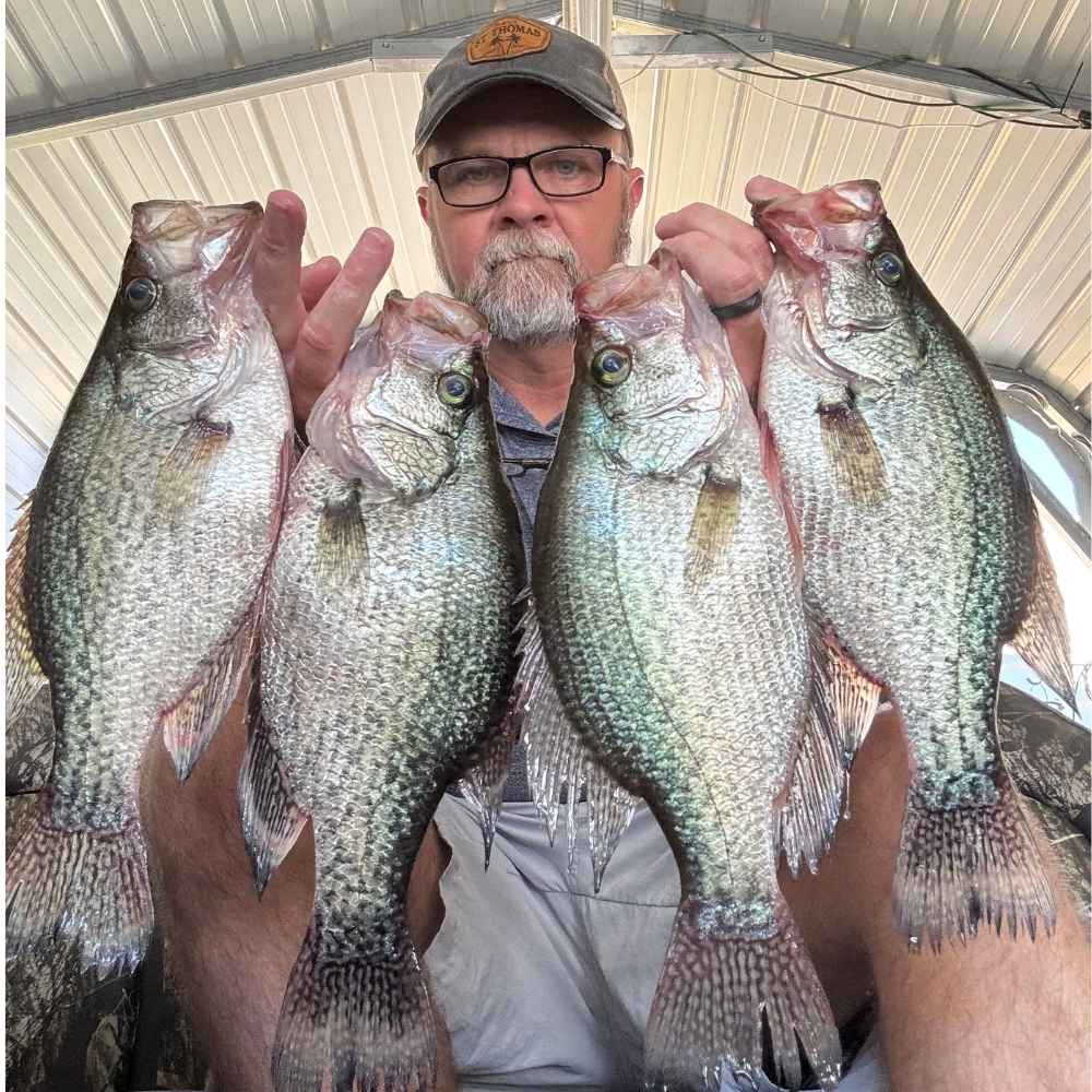 AHQ INSIDER Santee Cooper (SC) 2026 Week 40 Fishing Report - Updated October 1