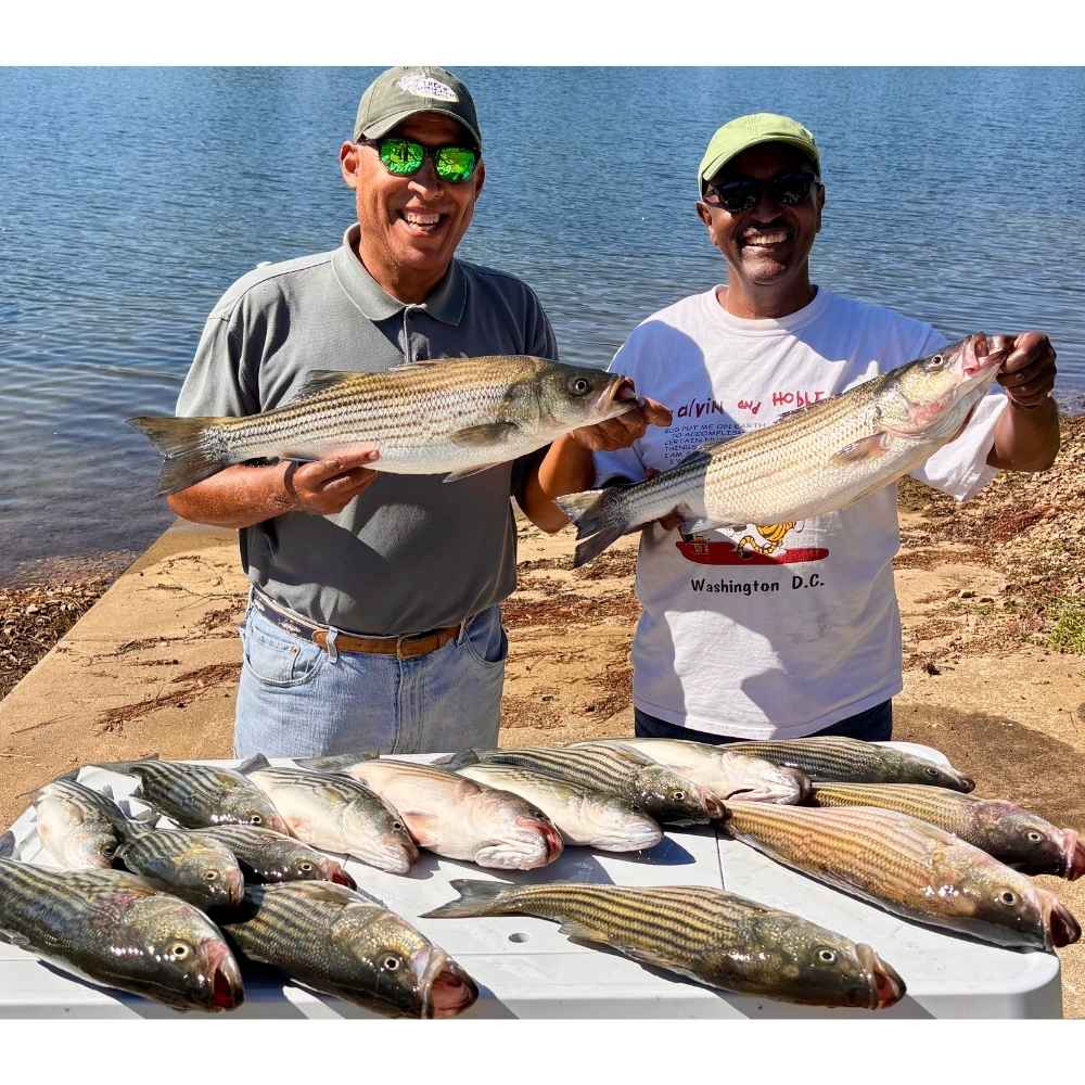 AHQ INSIDER Lake Murray (SC) 2026 Week 41 Fishing Report - Updated October 6