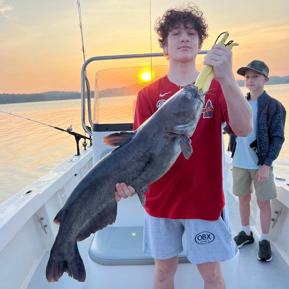 AHQ INSIDER Lake Hartwell (GA/SC) 2026 Week 41 Fishing Report – Updated October 6