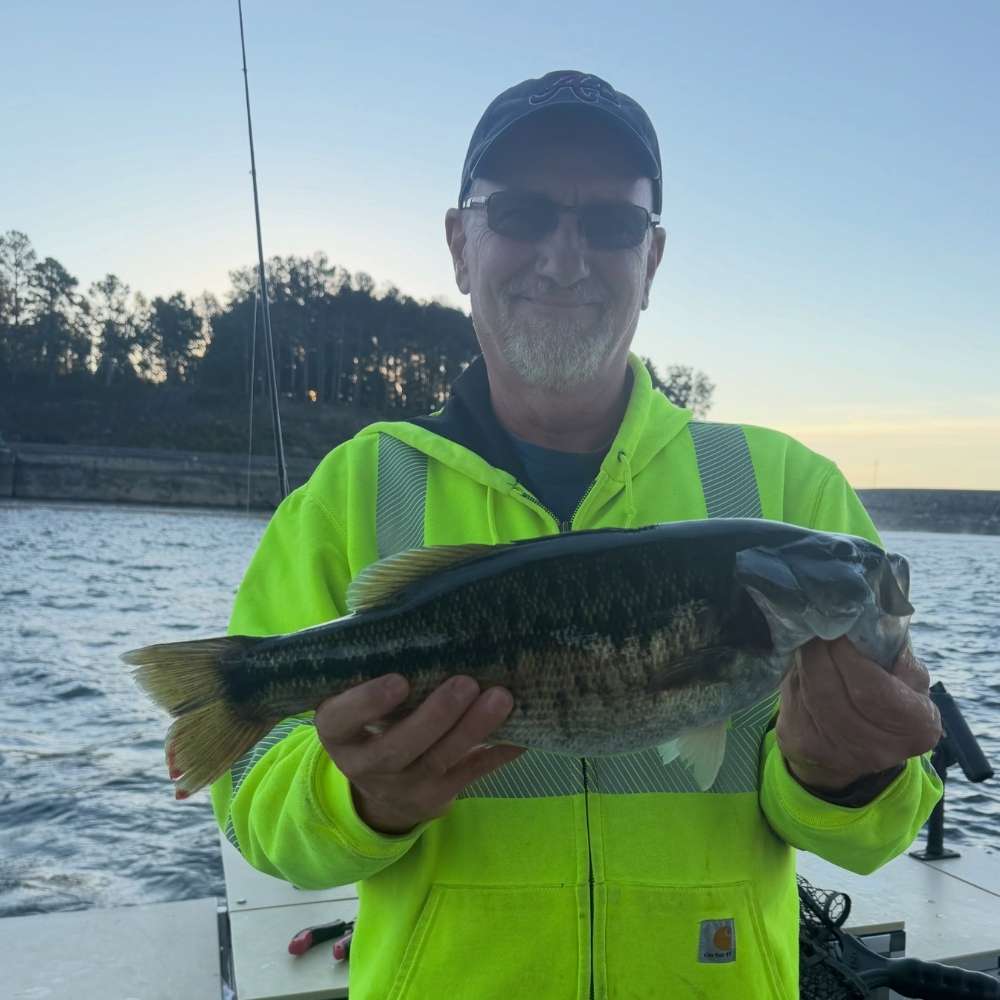 AHQ INSIDER Lake Jocassee (SC) 2026 Week 42 Fishing Report - Updated October 15