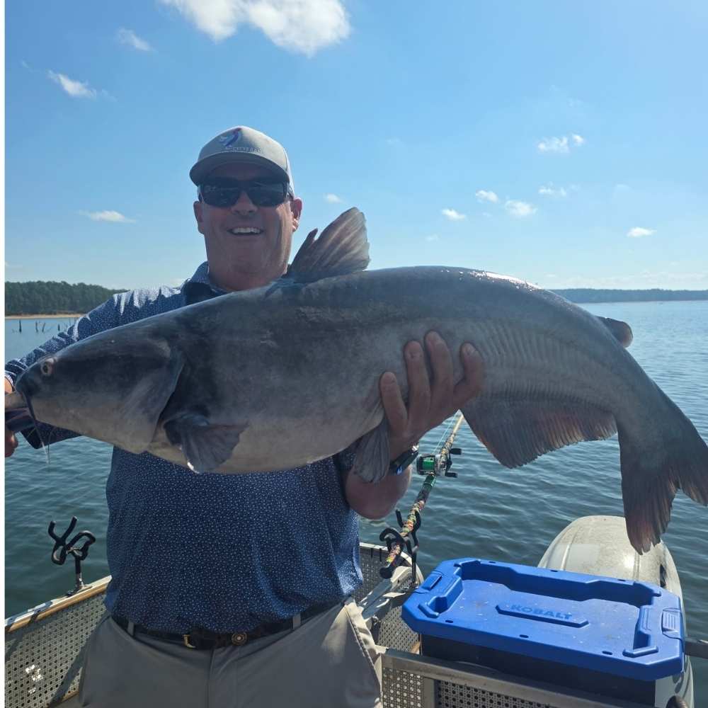 AHQ INSIDER Clarks Hill (GA/SC) 2026 Week 42 Fishing Report - Updated October 15