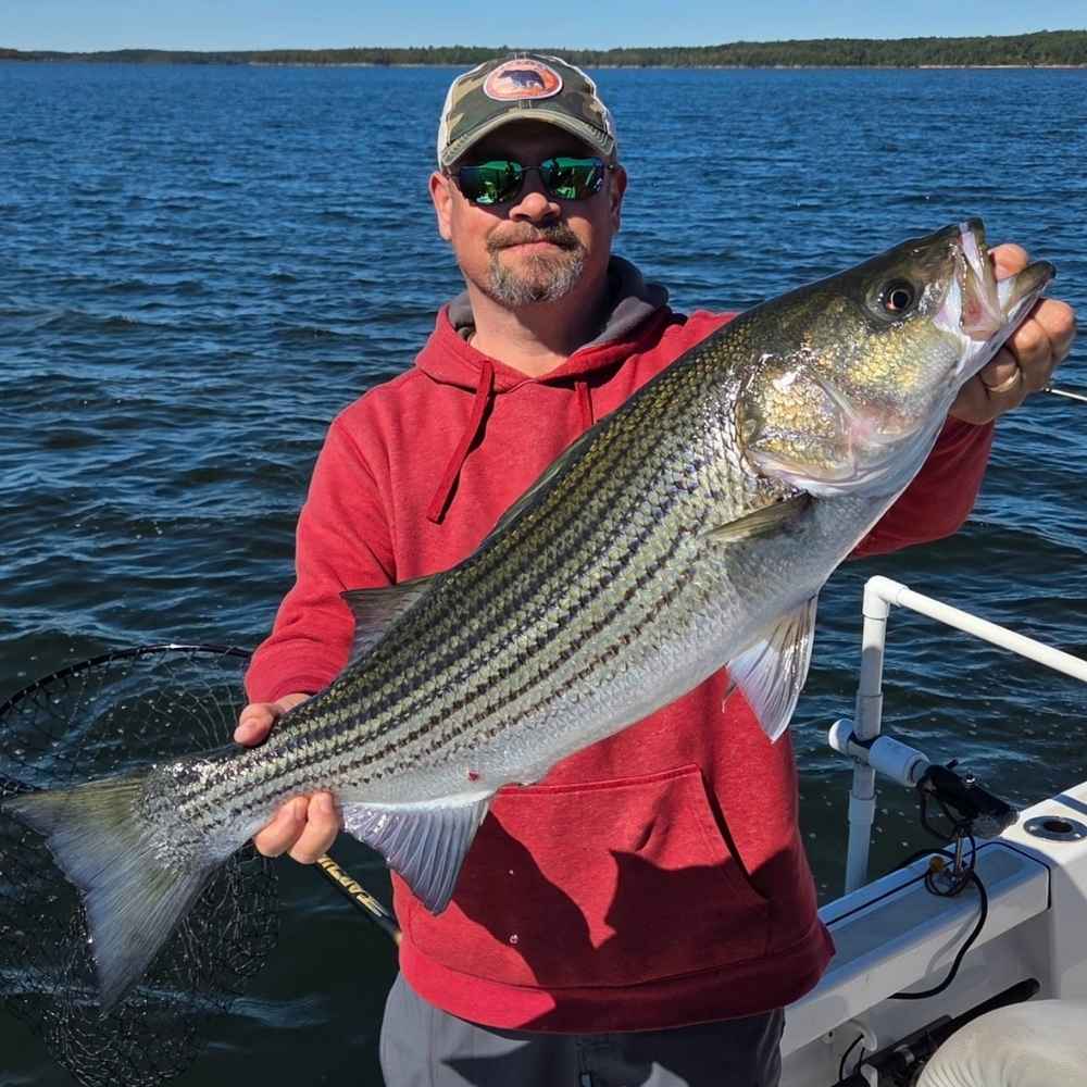 AHQ INSIDER Lake Russell (GA/SC) 2026 Week 43 Fishing Report - Updated October 21