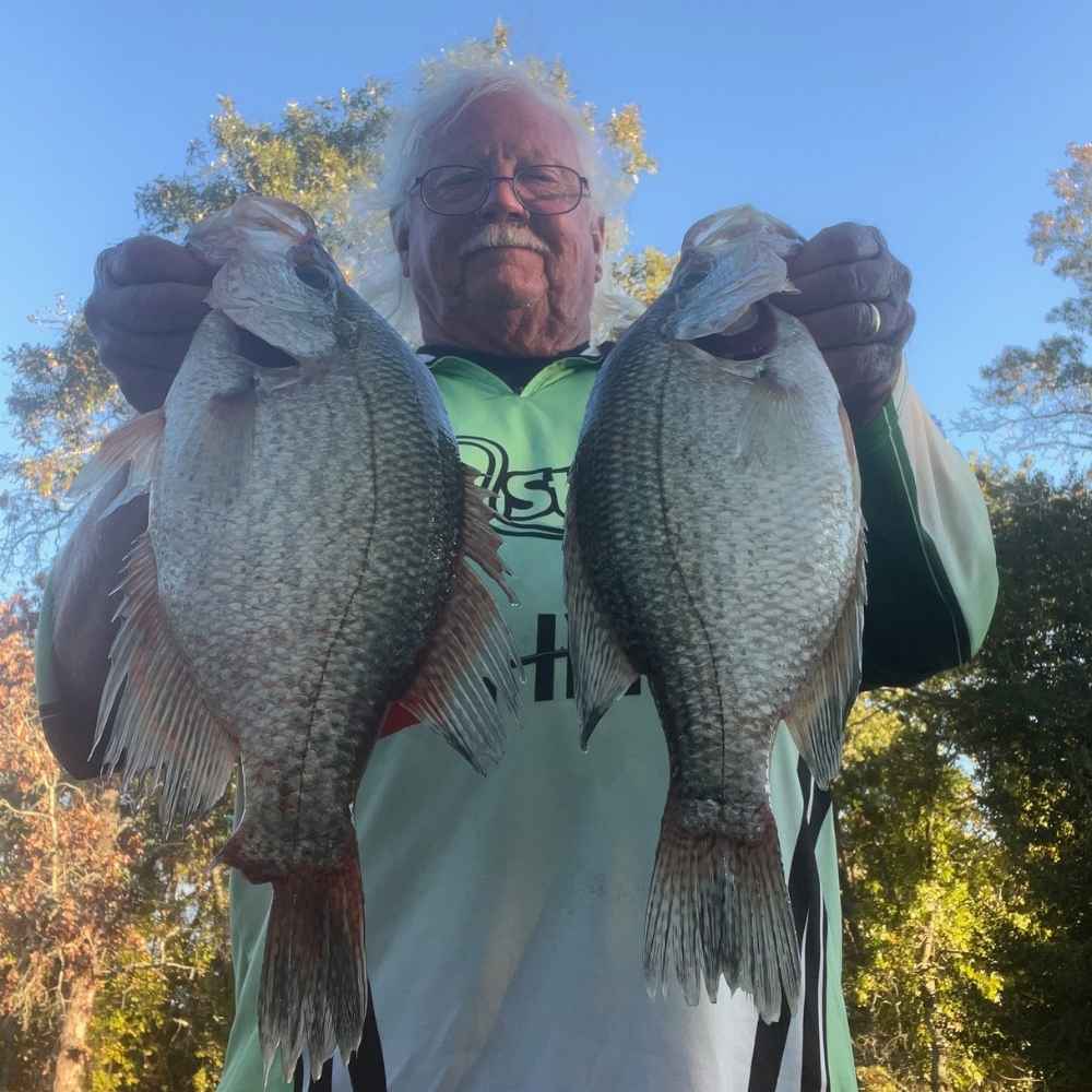 AHQ INSIDER Lake Wateree (SC) 2026 Week 43 Fishing Report - Updated October 20