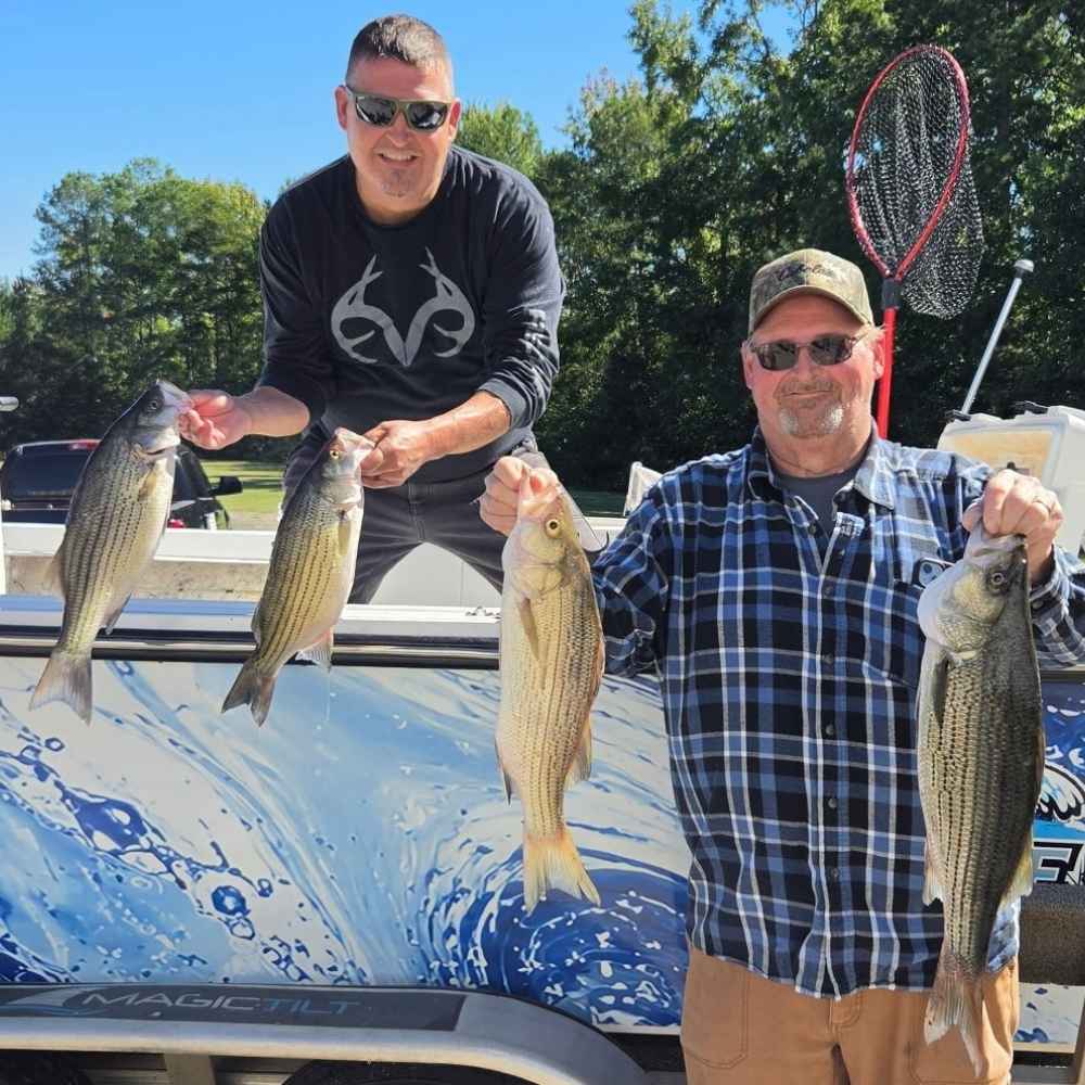 AHQ INSIDER Lake Hartwell (GA/SC) 2026 Week 43 Fishing Report – Updated October 22