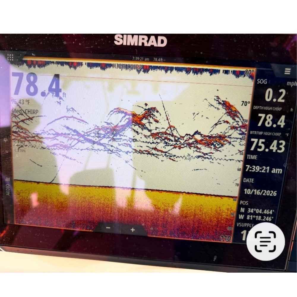 AHQ INSIDER Lake Murray (SC) 2026 Week 43 Fishing Report - Updated October 22