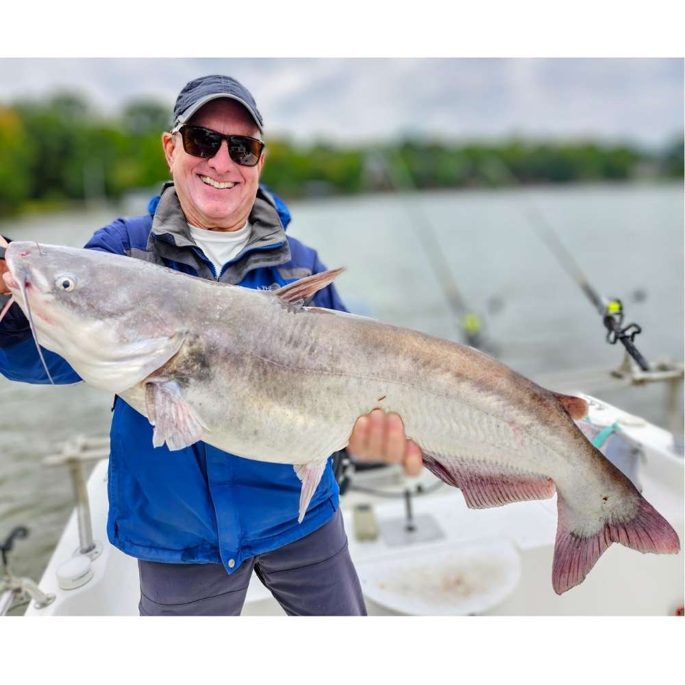 AHQ INSIDER Lake Wylie (NC/SC) 2026 Week 44 Fishing Report - Updated October 28