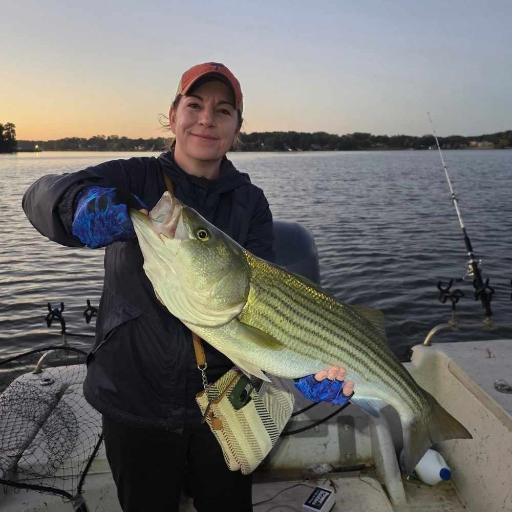 AHQ INSIDER Lake Greenwood (SC) 2026 Week 44 Fishing Report - Updated October 28