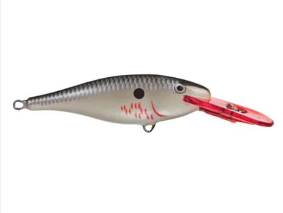 Rapala Shad Rap (Size 05) (2") - Angler's Headquarters