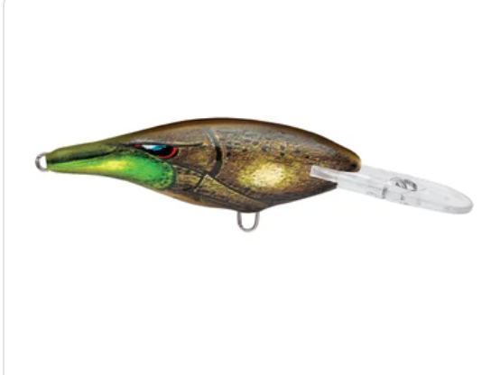 Rapala Shad Rap (Size 05) (2") - Angler's Headquarters