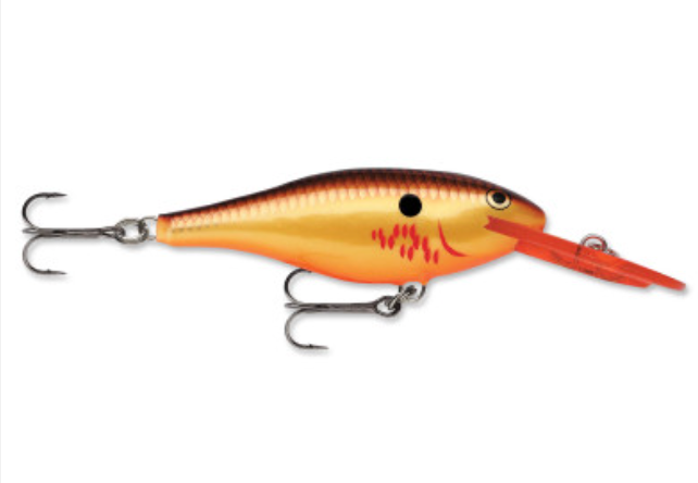 Rapala Shad Rap (Size 05) (2") - Angler's Headquarters