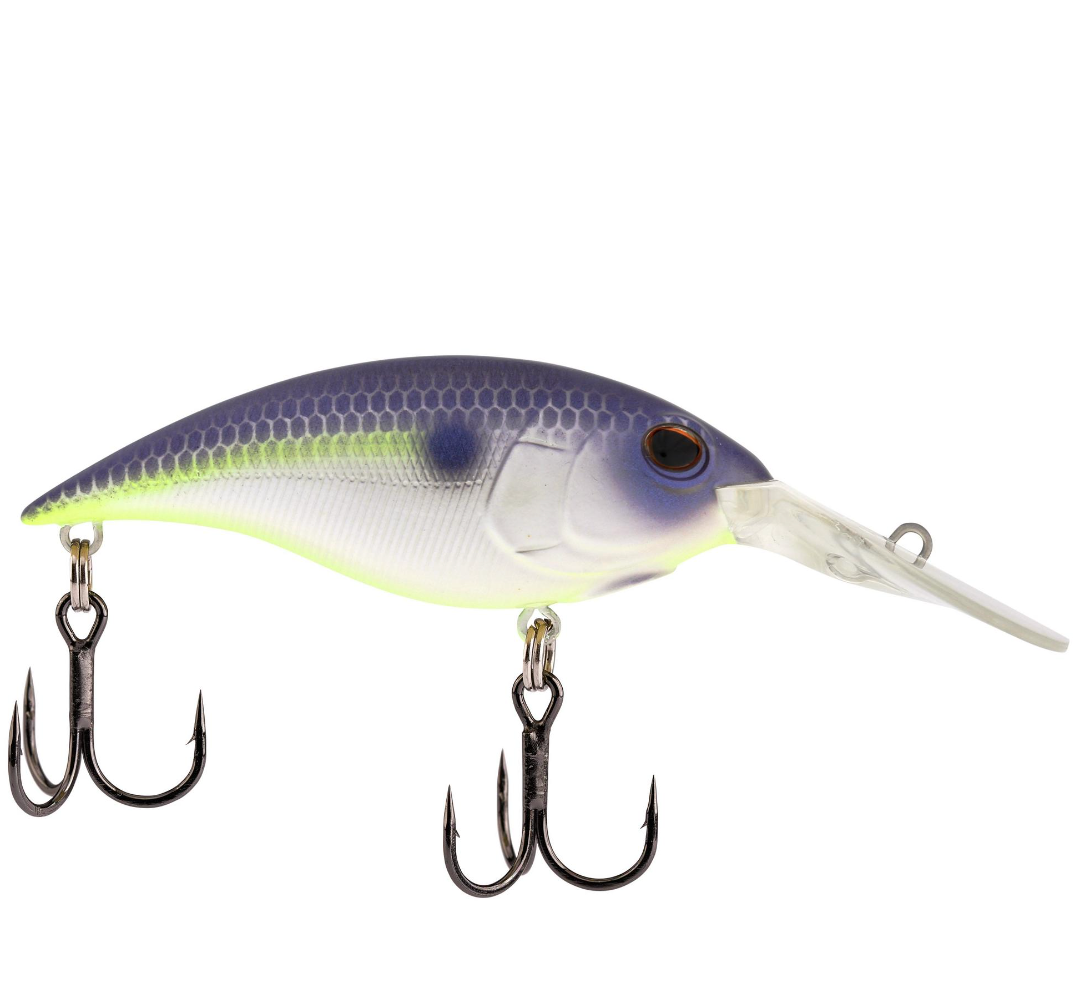 Berkley Money Badger