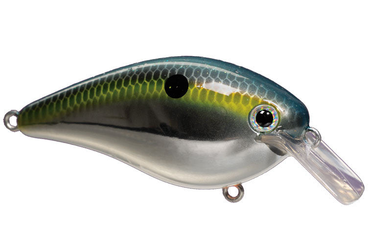 Strike King KVD HC Square Bill Silent Crankbait - Angler's Headquarters