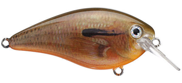Strike King KVD HC Square Bill Silent Crankbait - Angler's Headquarters