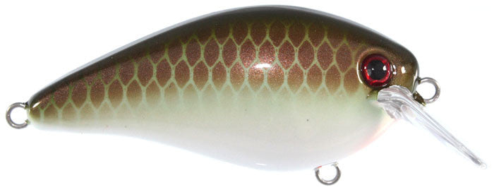 Strike King KVD HC Square Bill Silent Crankbait - Angler's Headquarters