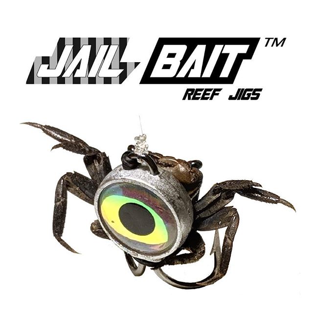 Eye Strike Jail Bait Reef Jigs - Angler's Headquarters
