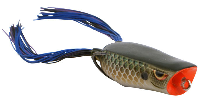 Spro Dean Rojas Bronzeye Poppin' Frog 60 - Angler's Headquarters