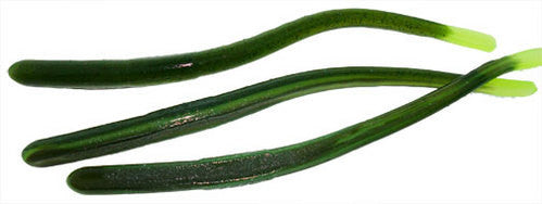 Roboworm 4.5" Straight Tail Worm (10 pack) - Angler's Headquarters