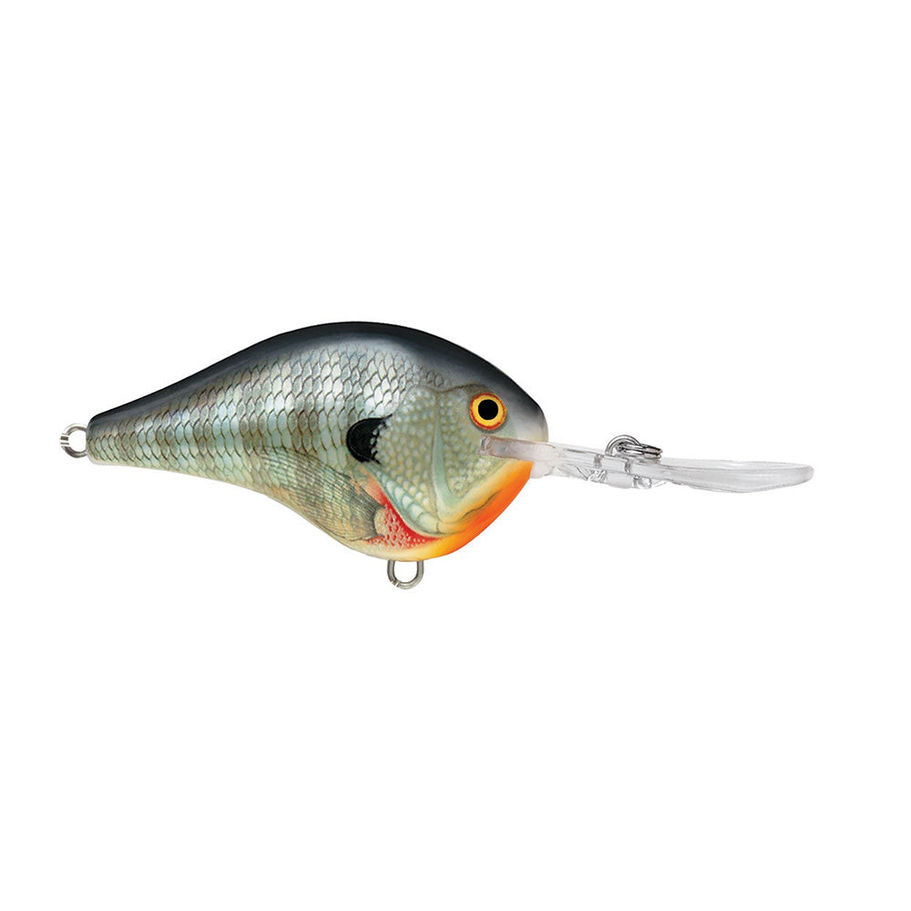 Rapala DT-4 Crankbaits