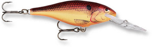 Rapala Shad Rap (Size 07) (2.75") - Angler's Headquarters