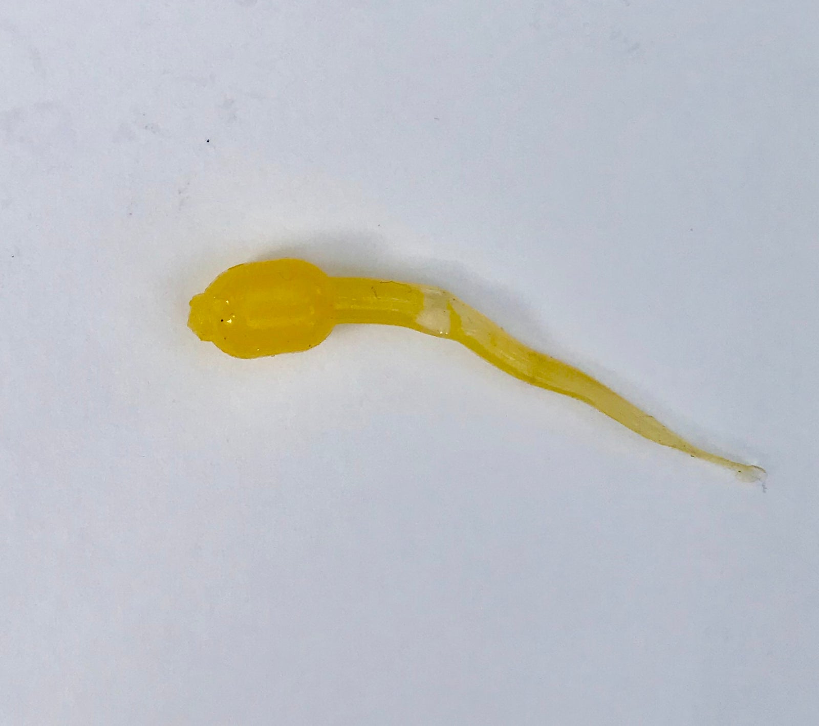 Crappie Day Stinger (1.5") (20 pk) - Angler's Headquarters