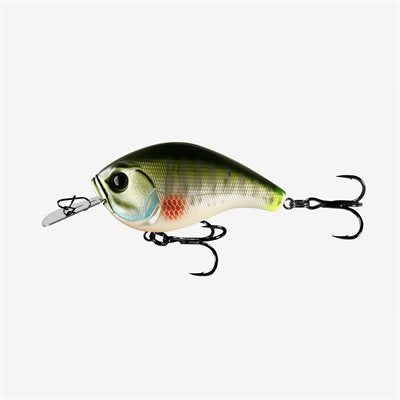 13 Fishing Jabber Jaw Hybrid Squarebill Crankbait