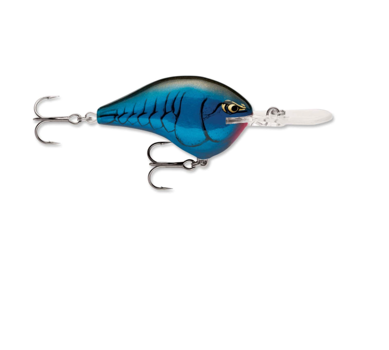 Rapala DT Series Crankbait (2") (6 ft) - Angler's Headquarters