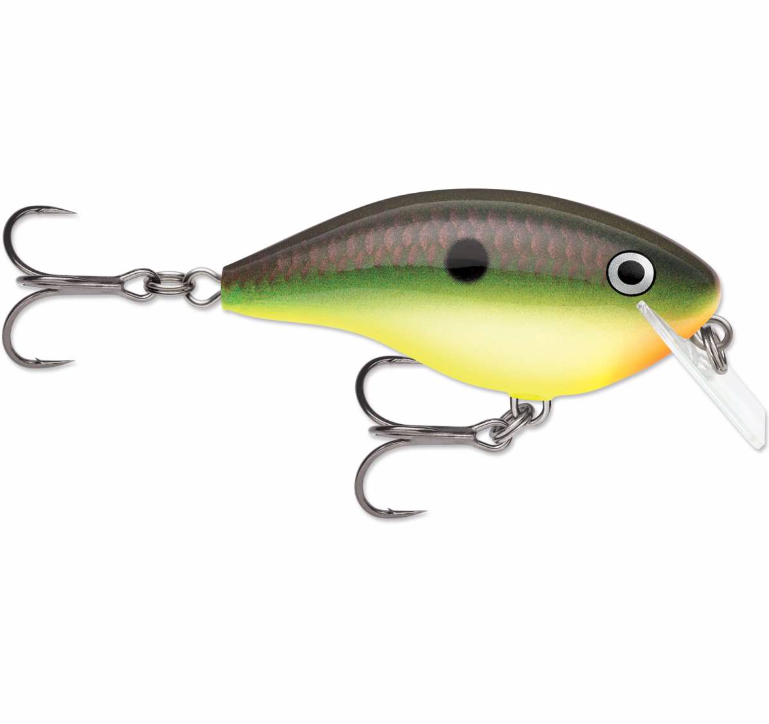 crankbait fishing reel SPRO RkCrawler 55 up ratios Reef Runner 900 Series Reef