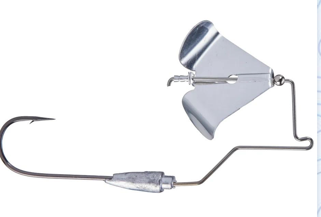 True South Buzz Frames