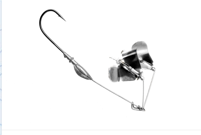 True South Buzz Frames