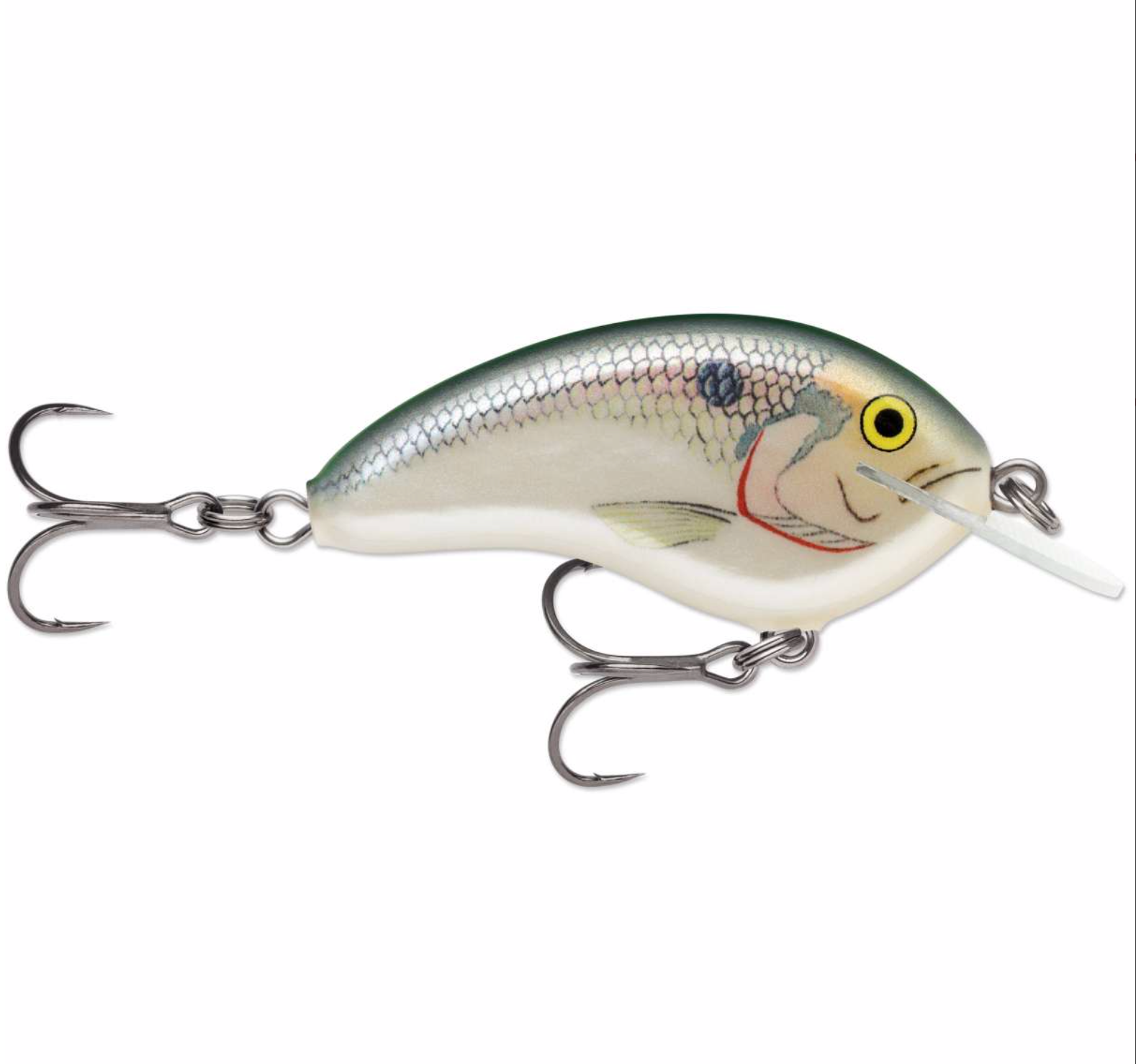 big o fishing lures Rapala Ott's Garage Tiny